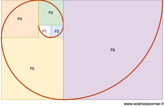 Spirale obtenue grâce à la suite de Fibonacci